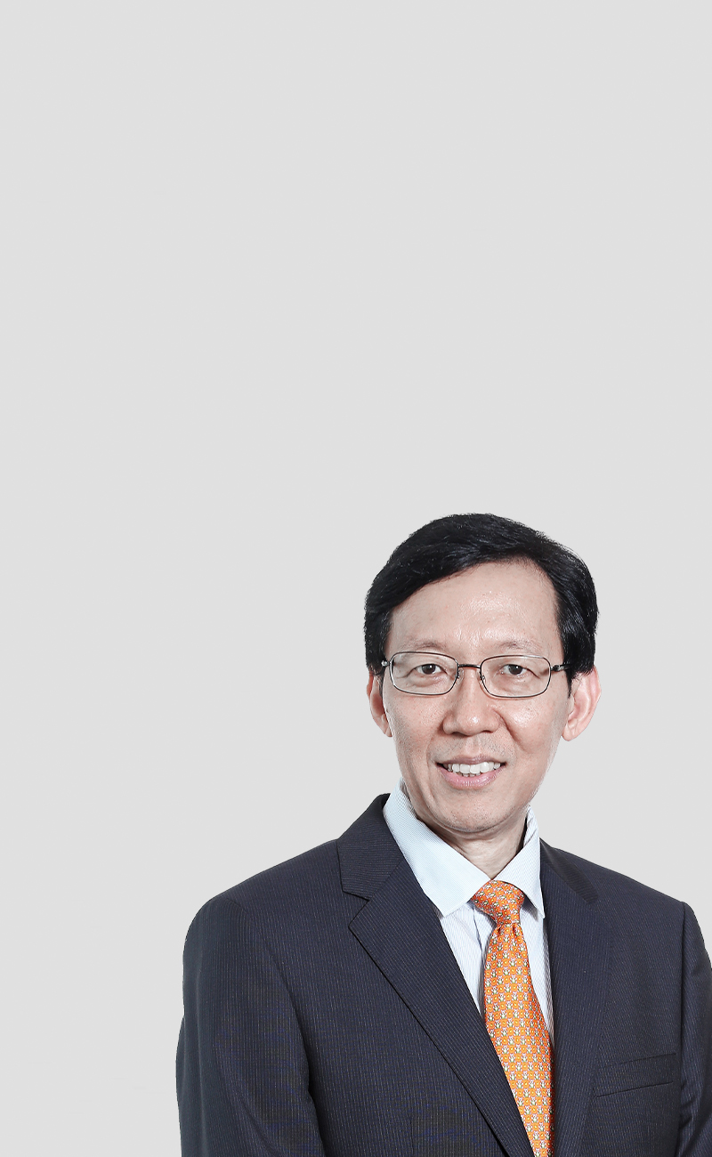 Ong Chong Tee | GIC Risk Committee